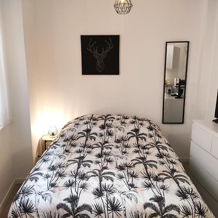 Le Repere - Focalimmo Apartment Foix Bagian luar foto