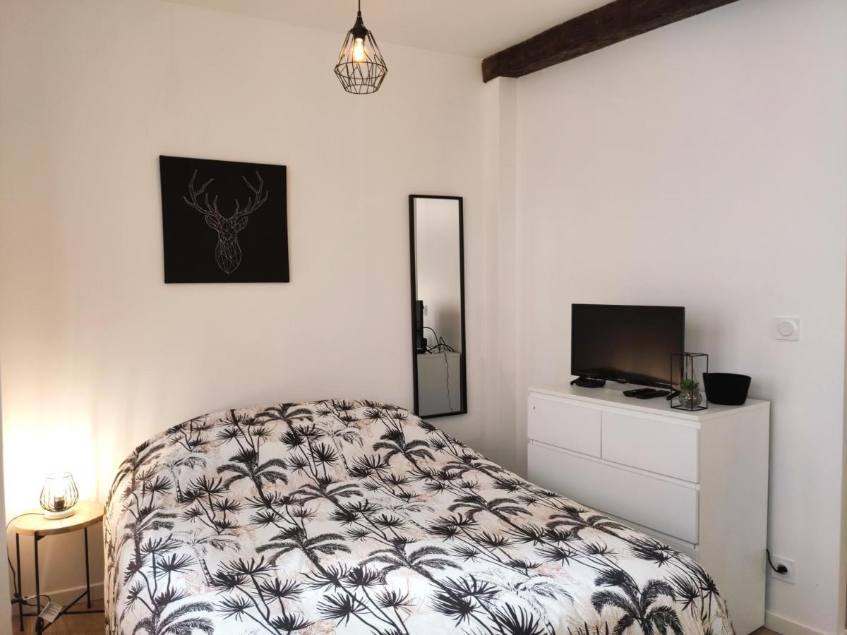 Le Repere - Focalimmo Apartment Foix Bagian luar foto
