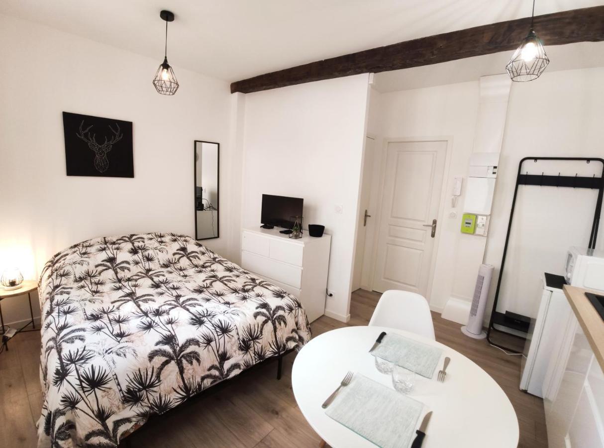 Le Repere - Focalimmo Apartment Foix Bagian luar foto